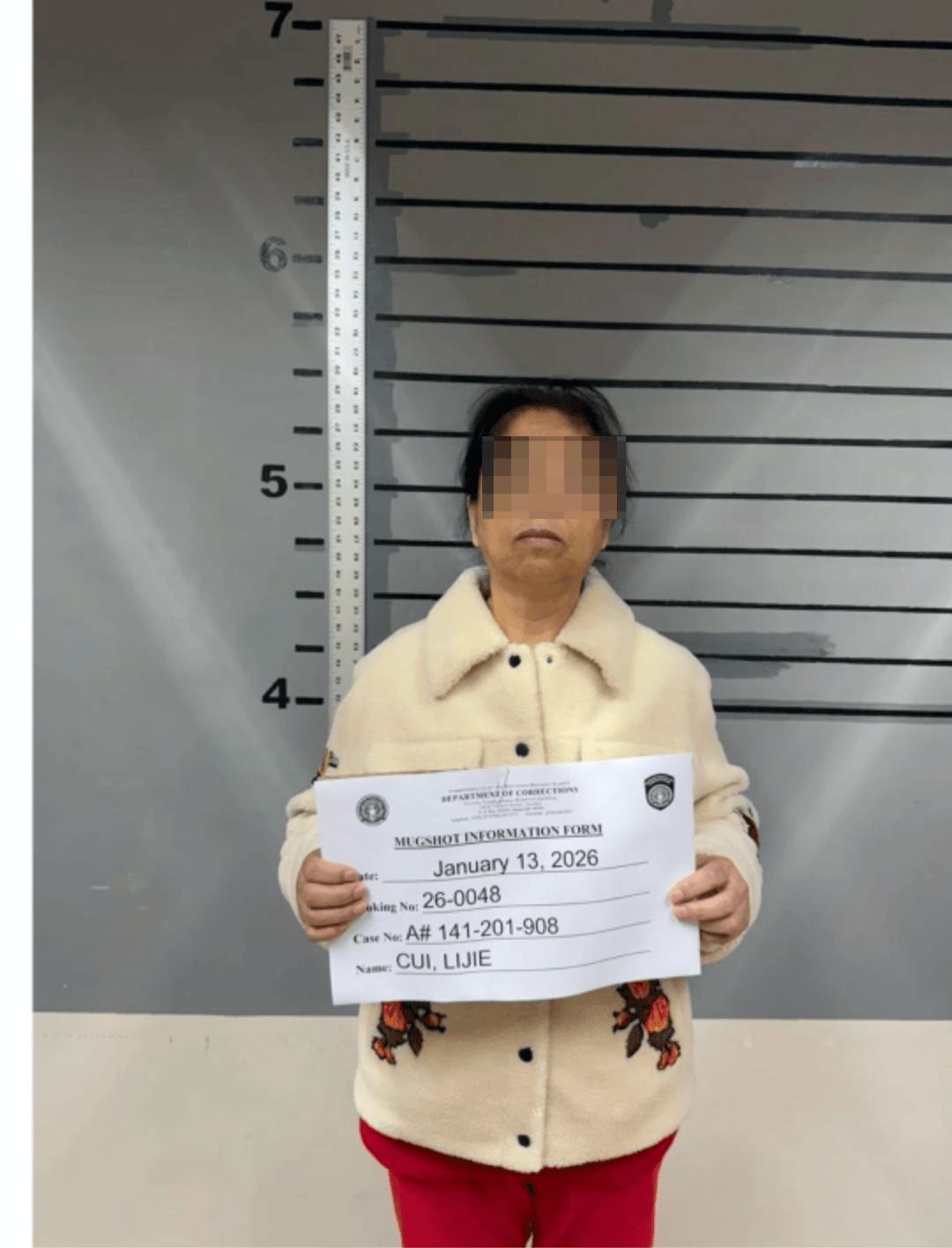 涉嫌違反美國移民法規則，吳佩慈