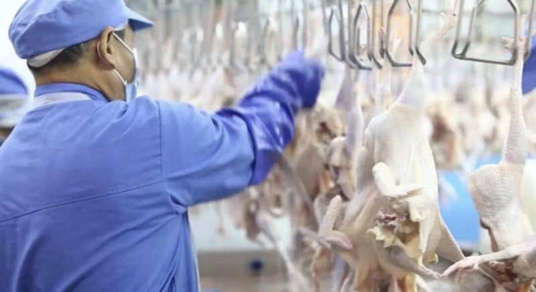 “沒人不愛吃的頂流美食”，正被拼多多送上全國餐桌