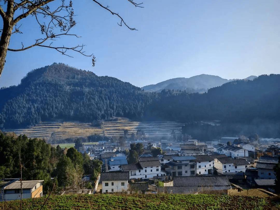 “會玩是件天大的事”！一農村小學走紅，有人舉家搬遷，“學區房”一房難求