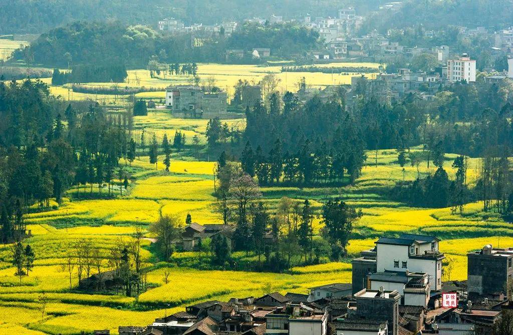 【國際旅遊攝影網】推薦住宿羅平螺絲田旭升客棧