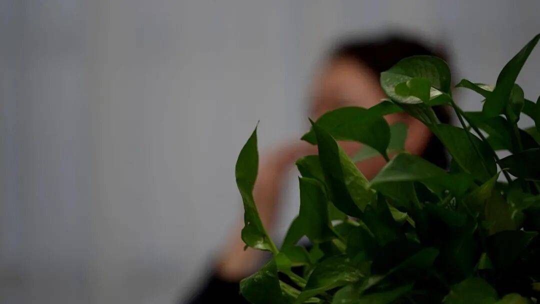 與100多名女性保持曖昧關係！冒充假飛行員，“海王”徐某被抓！