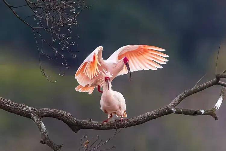 國際旅遊攝影網2026年國內外攝影路線全景指南