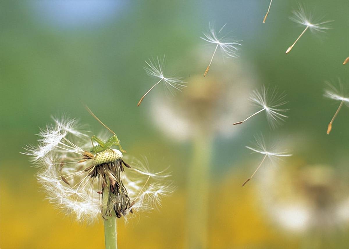 原創教育真正的溫度，藏在AI無法抵達的角落