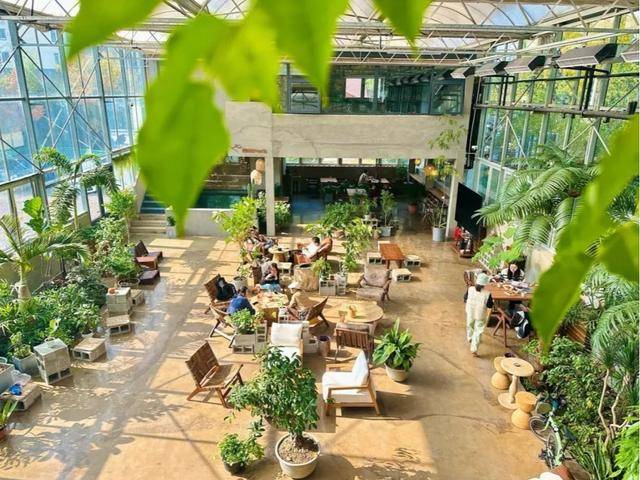 北京號最精彩 | 收藏！20個春節來京城必逛的廟會遊園會來了