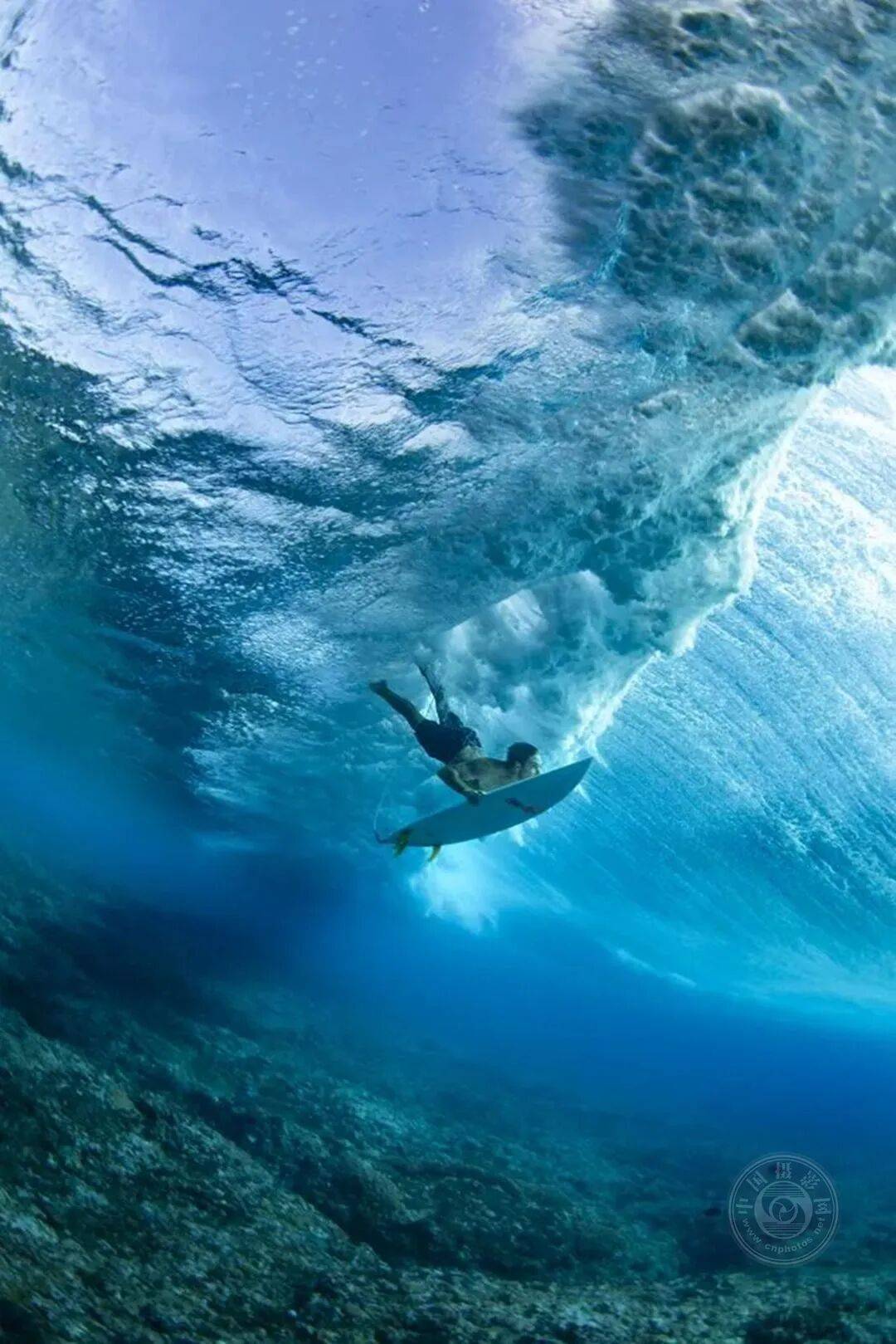 揭曉 | 2025年度全球旅遊攝影大賽獲獎作品公佈（上）