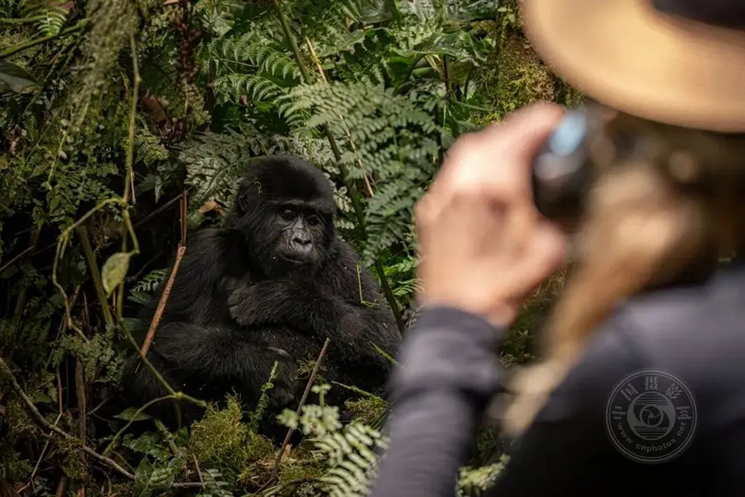 揭曉 | 2025年度全球旅遊攝影大賽獲獎作品公佈（上）