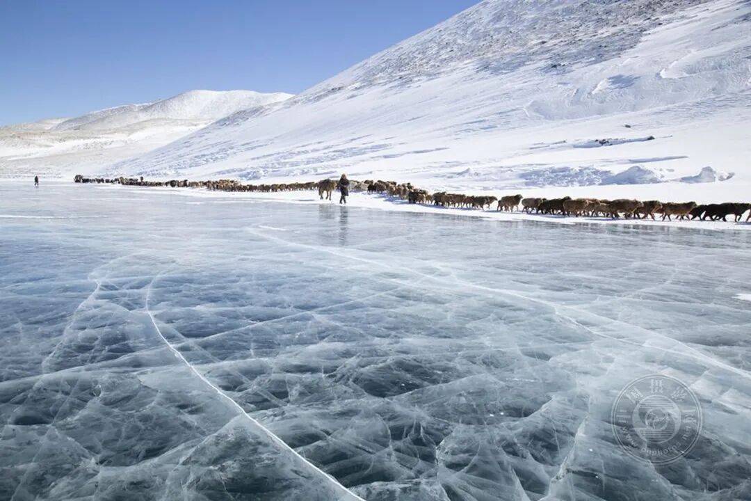 揭曉 | 2025年度全球旅遊攝影大賽獲獎作品公佈（上）