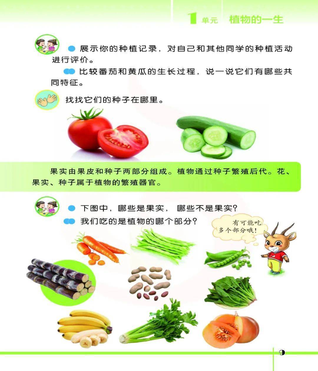 2026蘇教版五年級科學下冊電子課本(PDF高畫質版新教材)