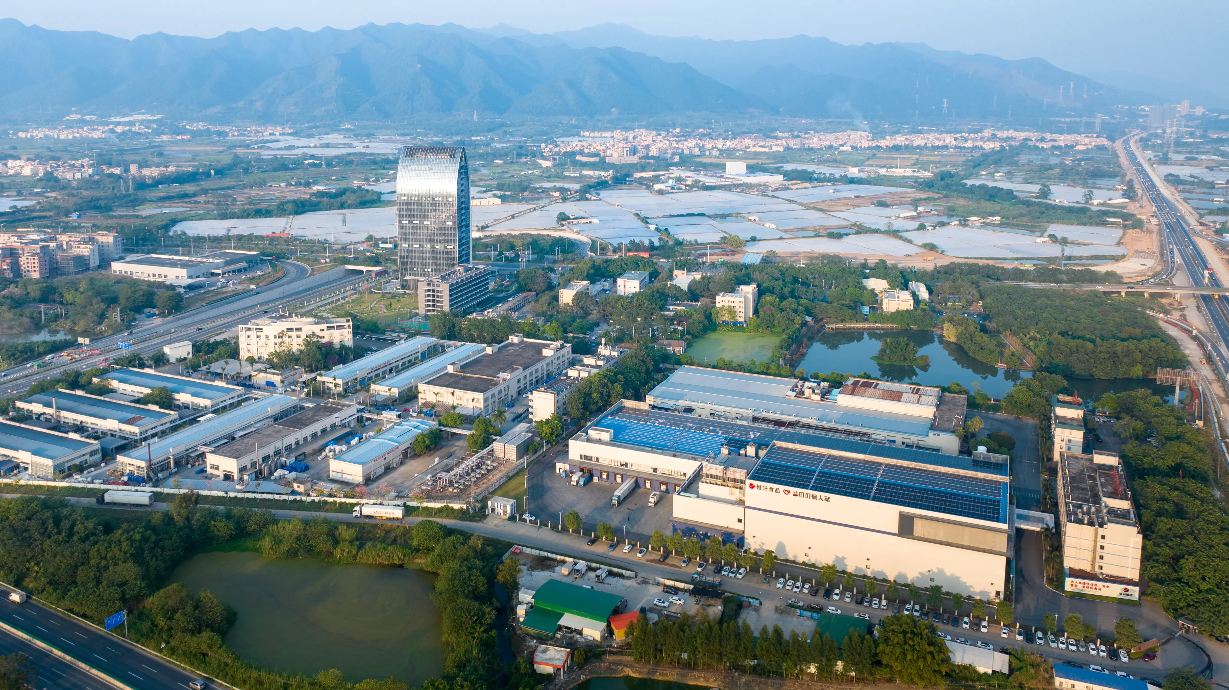 一鍵收藏這隻蝦的滿分吃法｜廣貨行天下·肇慶一桌菜