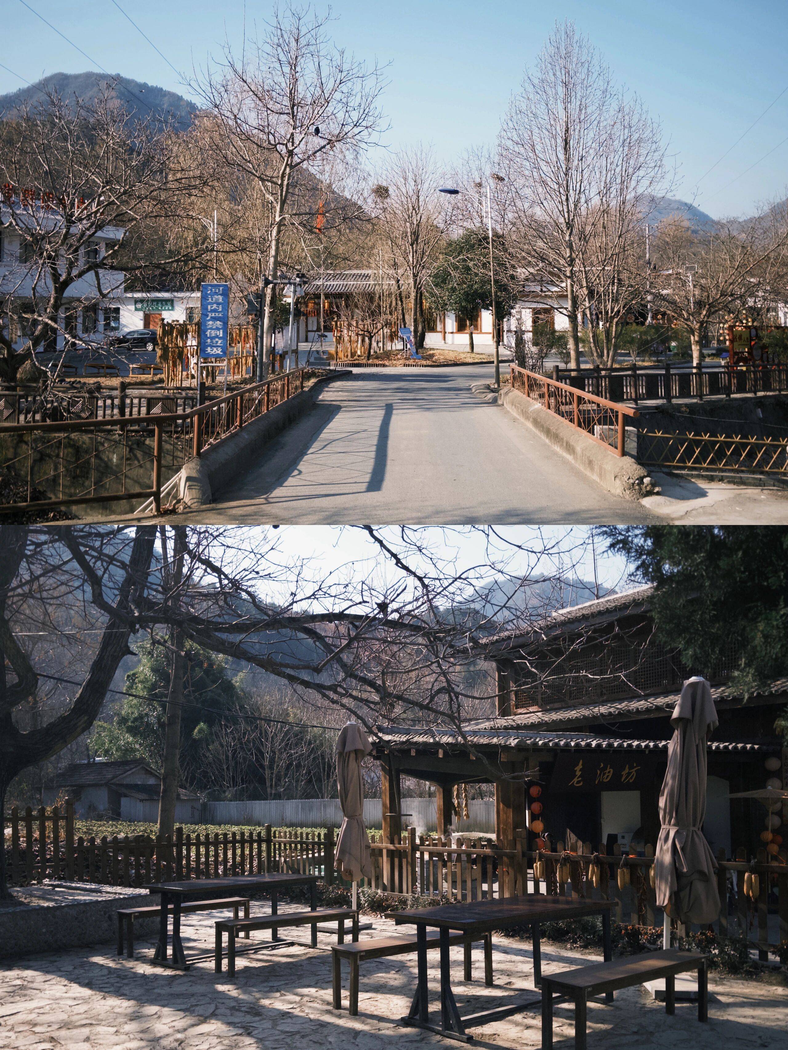 留壩新年美食大賞，哪一道最夯？