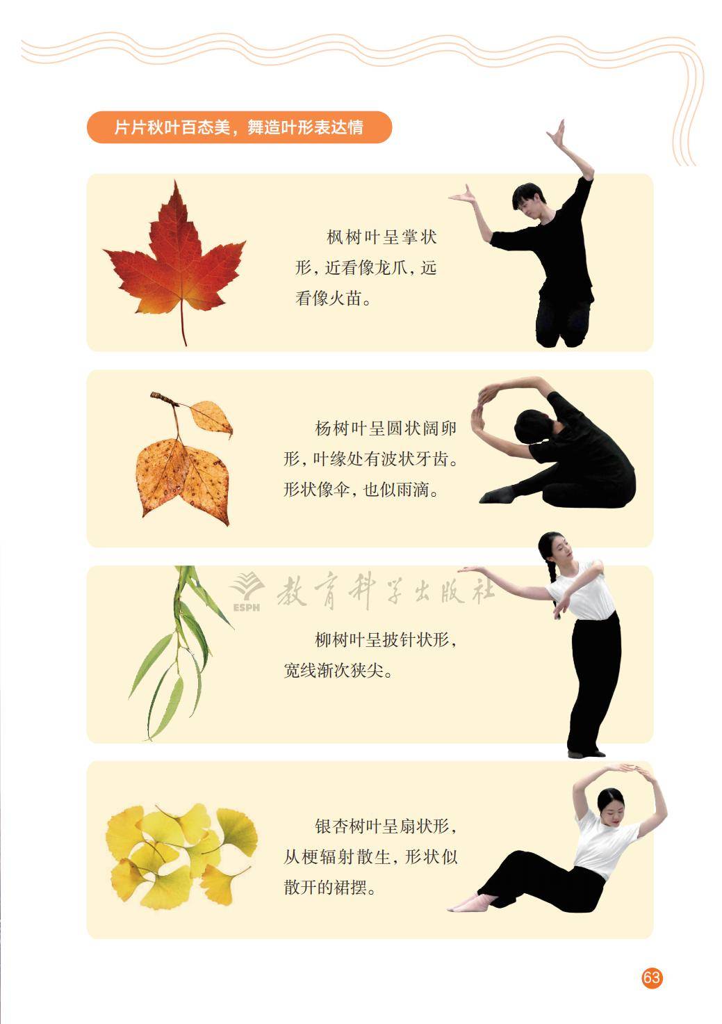 2026教科版八年級舞蹈(下冊)電子課本(PDF版新教材)