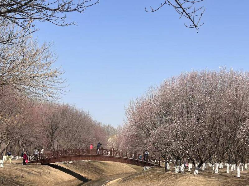 多地春假與清明假期疊加 旅遊市場出現兩股出遊高峰