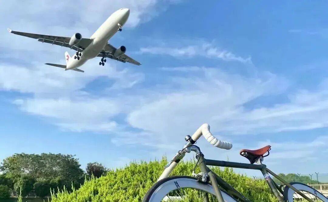 3條絕美騎行線，收藏春日上海！