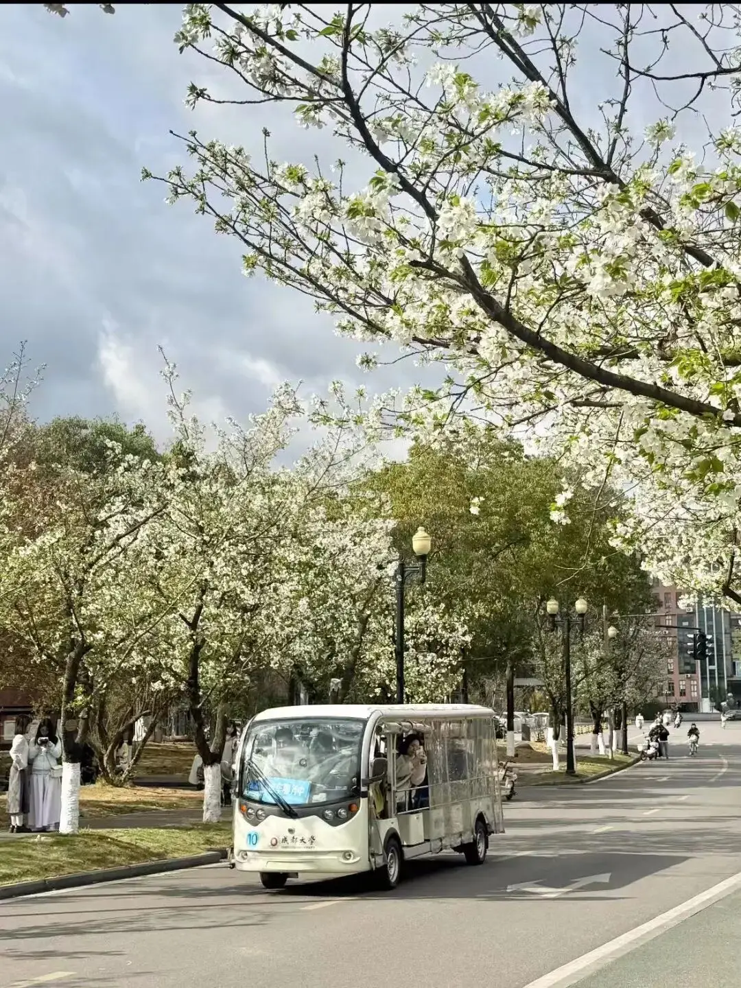 成都可以入校賞花的大學推薦！附預約入口