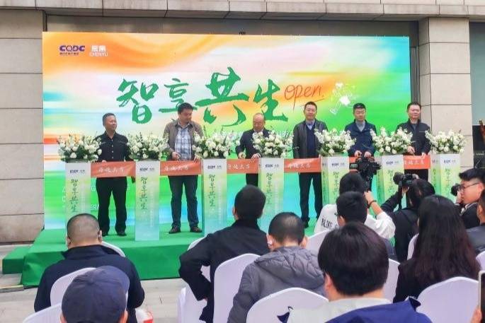 重慶再添596套保租房 累計已超30萬套（間）