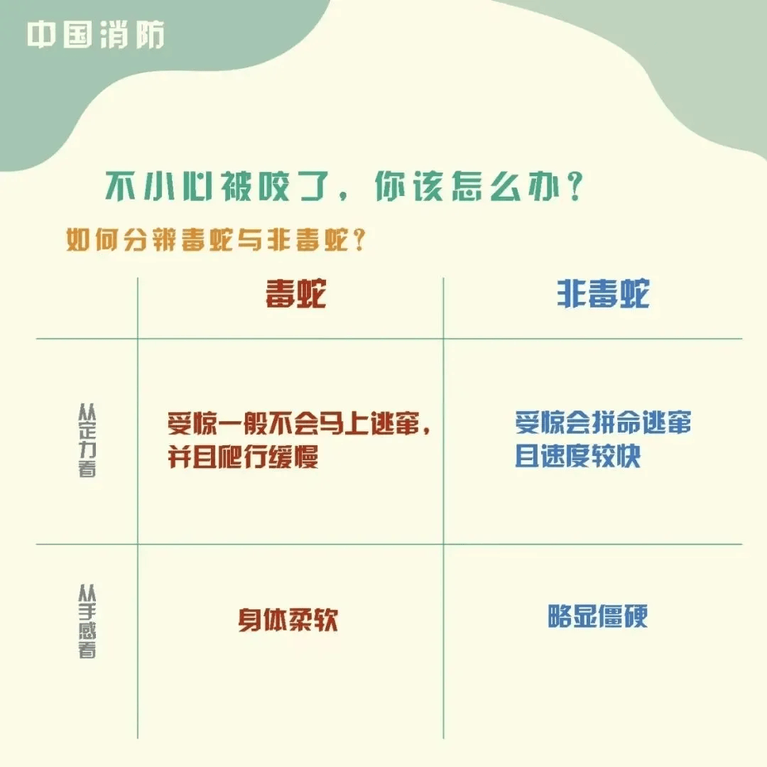 雲南3歲女童被眼鏡王蛇咬傷，“假死”3天后奇蹟生還！
