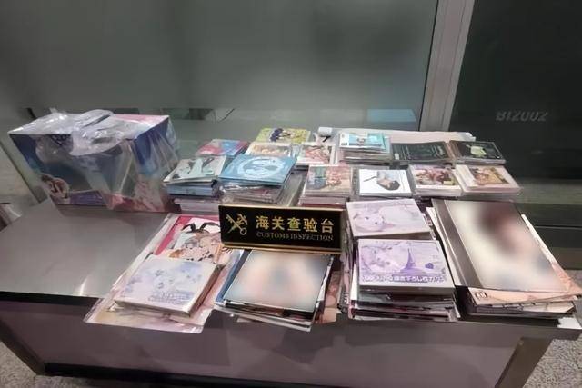 “人肉”揹回244本淫穢漫畫，“跨境代購”女子被判刑