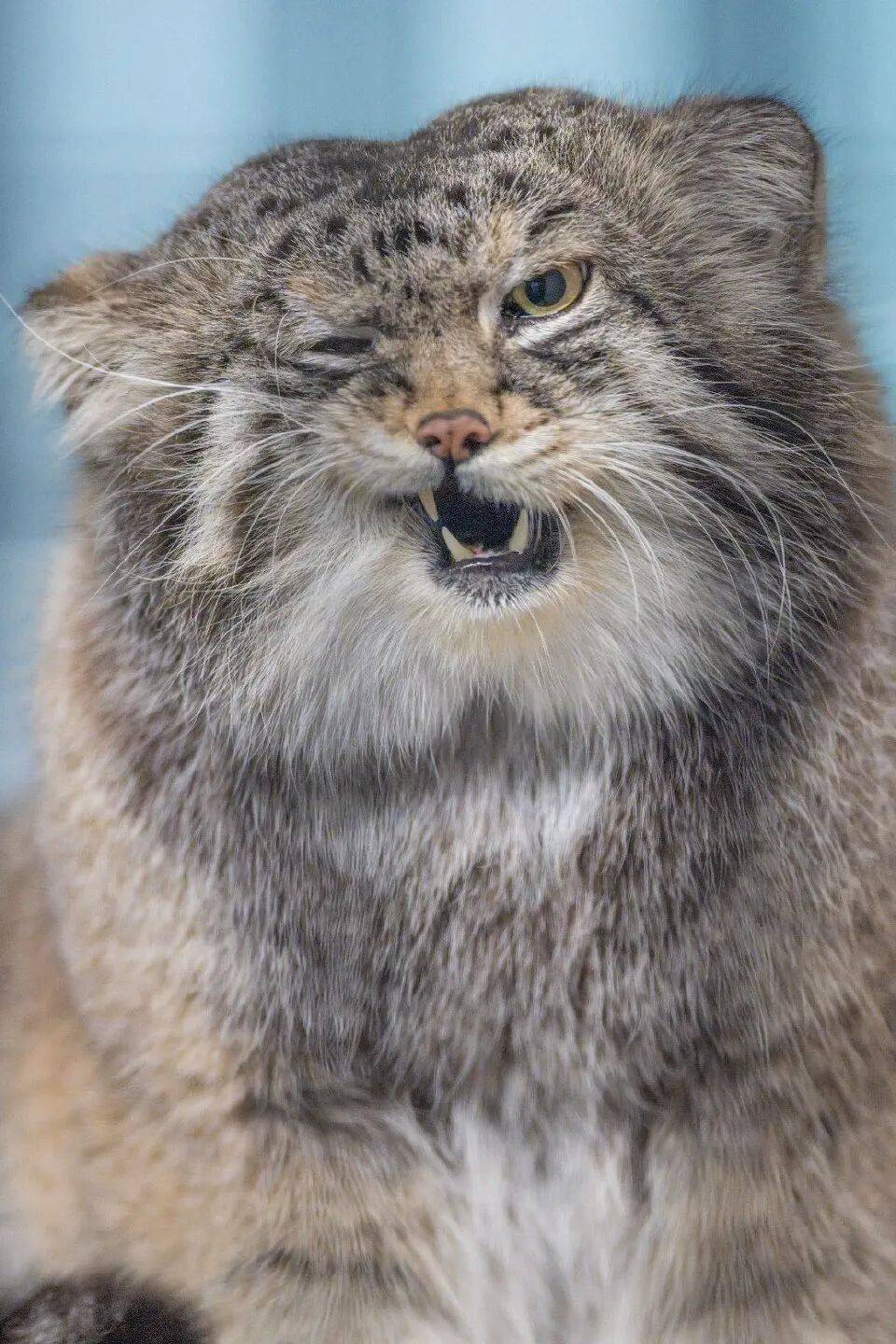 我的錢全用來裝修婚前房了，女方彩禮打骨折還貼了 2 萬，想要個面子，我不想給，現在要黃怎麼辦？