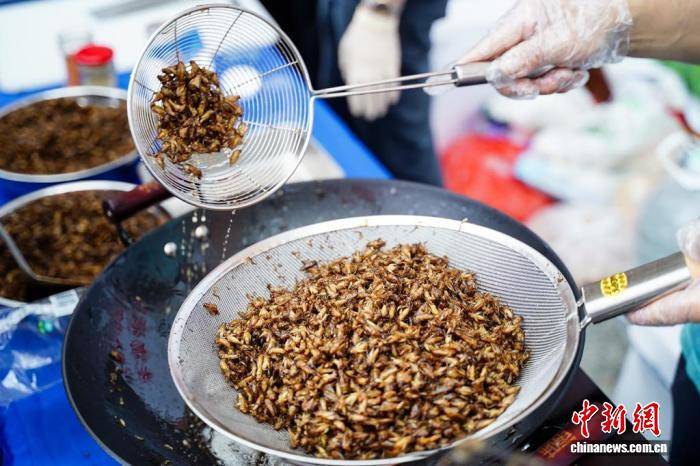 2026飼用食用昆蟲國際研討會舉行 昆蟲創意美食亮相