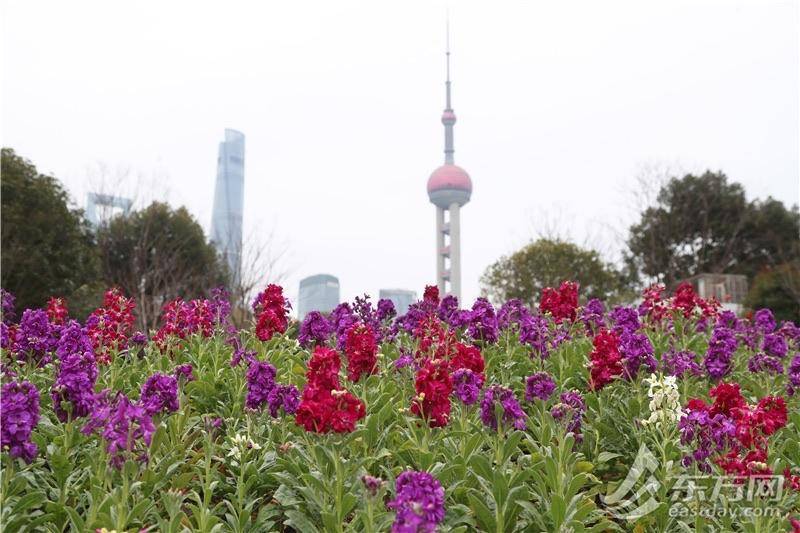 一季度上海商業地產市場租賃需求持續復甦，核心區域投資熱度升溫