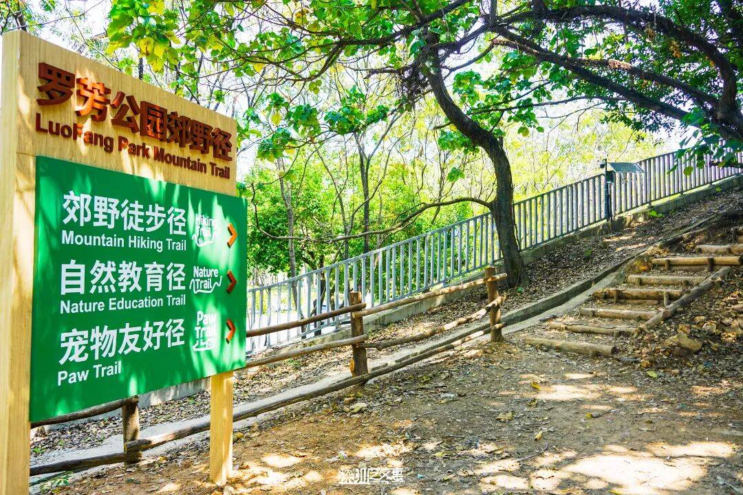 今日深圳｜聽說，羅芳郊野徑新開了個“狗狗圖書館”