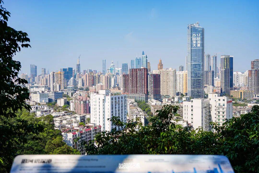 今日深圳｜聽說，羅芳郊野徑新開了個“狗狗圖書館”