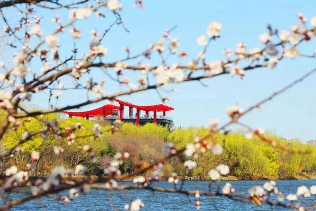 賞花親水、美食購物！跑完副馬，慢享春日好時光