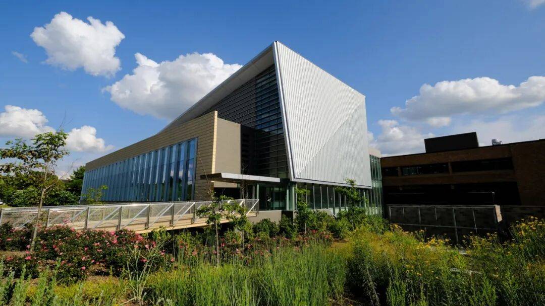 中國博士後遭美方執法人員約談盤問後自殺，去世當天最新論文在頂刊發表……