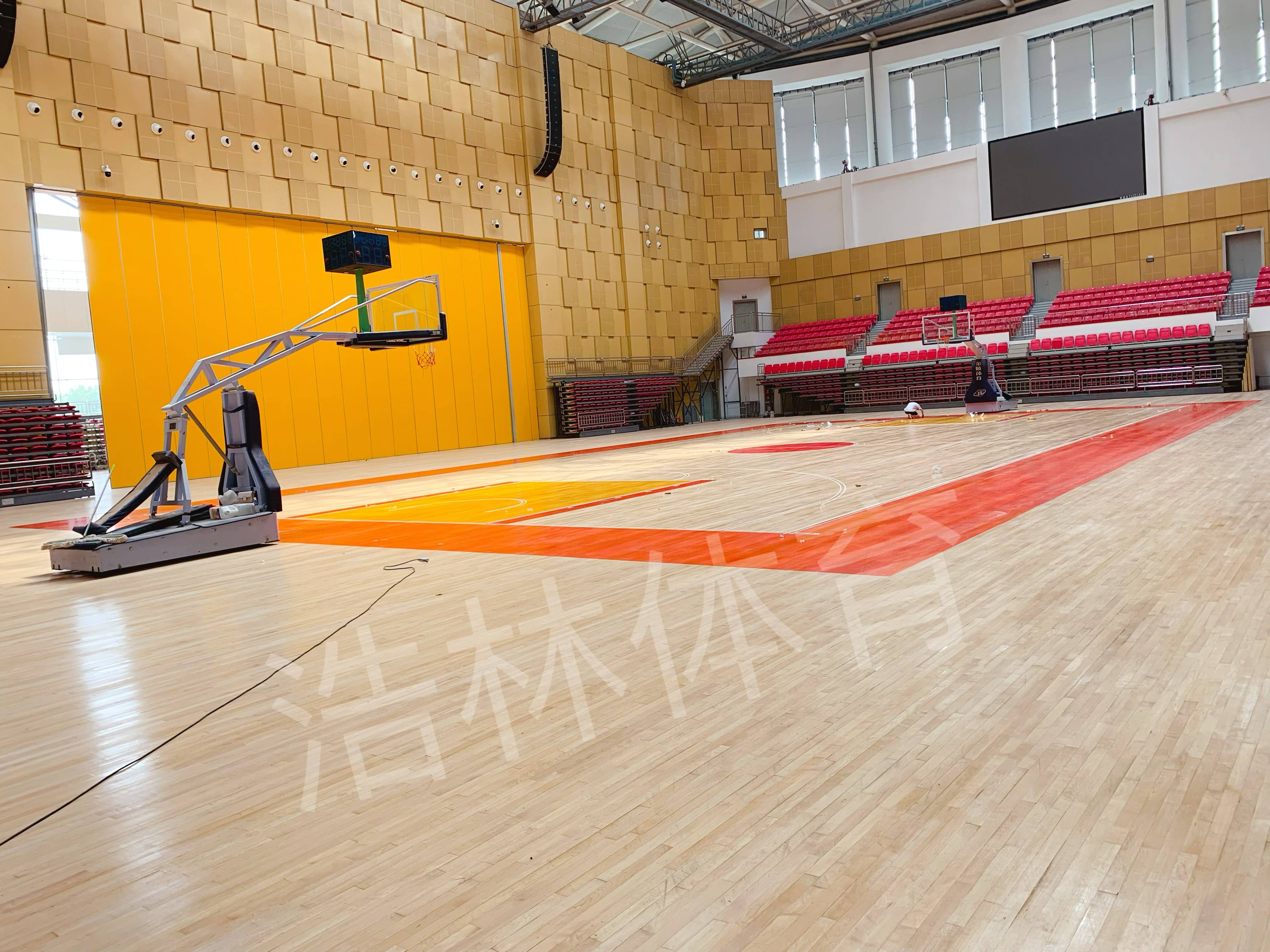 浩林體育|楓木運動地板和楓樺木運動地板區別？體育專用木地板|工廠