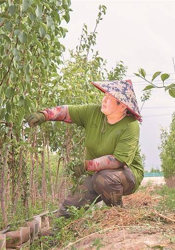 這筆“迴圈金”，點亮萬千女性創業夢