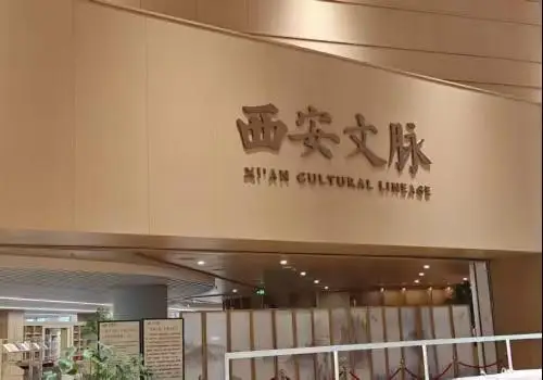 西安圖書館深耕全民閱讀 築牢古城文化根基