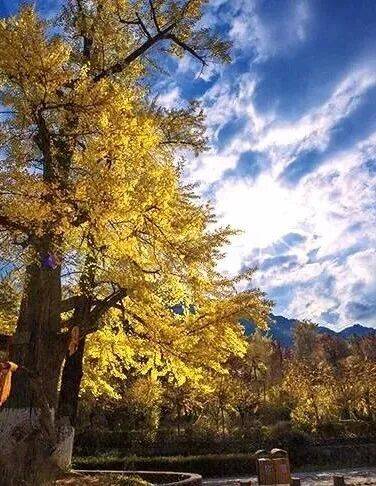 五一小長假倒計時！隴南熱門景區停車泊位數量公佈，趕緊收藏→