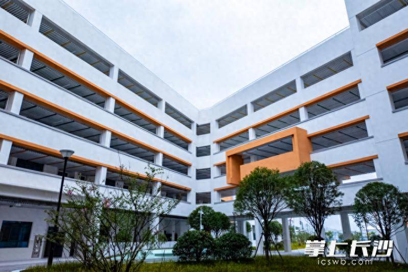 原創規劃48個班！河西這所小學9月開門迎新
