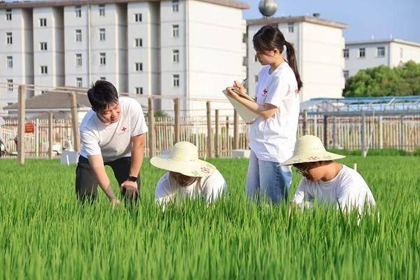 青春在田野——大學生在實踐中出真知