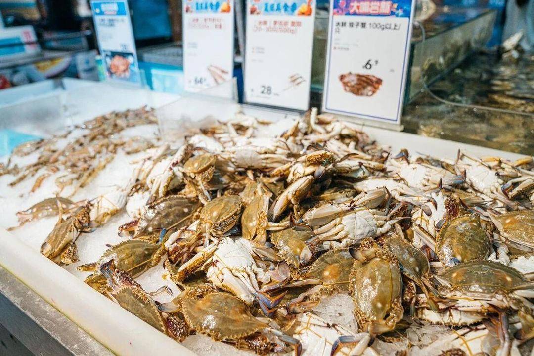 “小開漁”來了！關於梭子蟹的消費提示，建議收藏