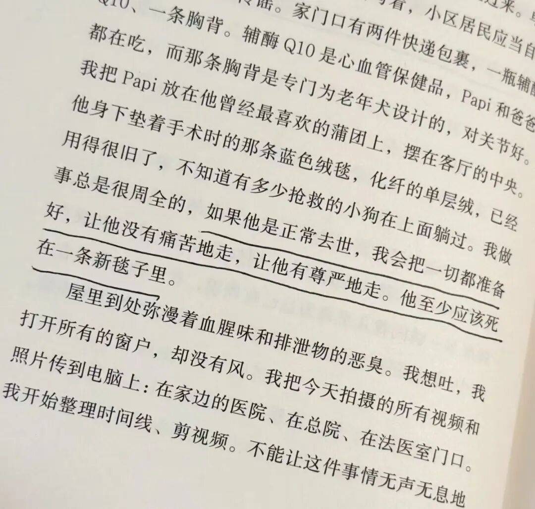 一個普通女性，如何為她的小狗主持正義