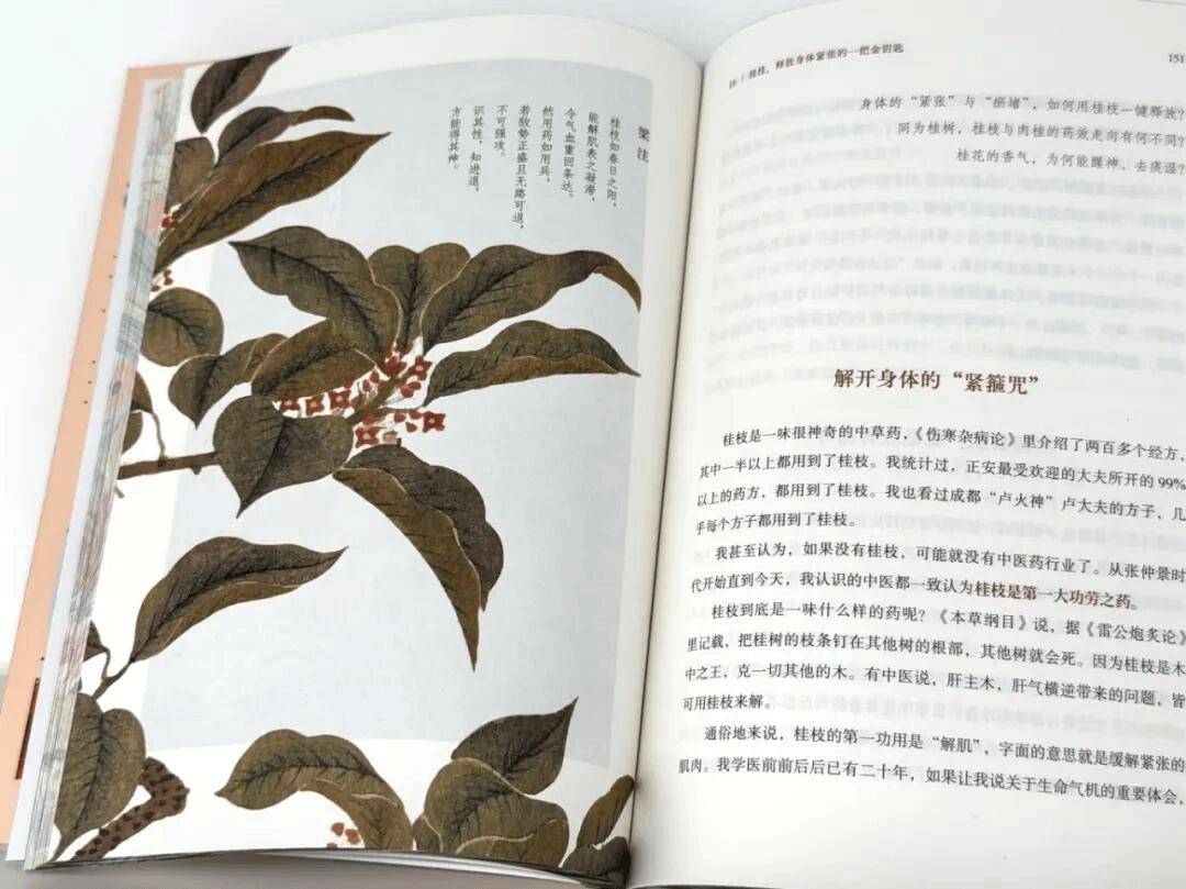 中國人的長期主義，值得收藏的驚豔之作