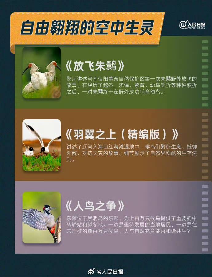 收藏！30部紀錄片雲遊祖國好生態