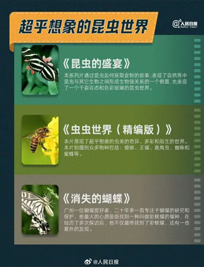 收藏！30部紀錄片雲遊祖國好生態