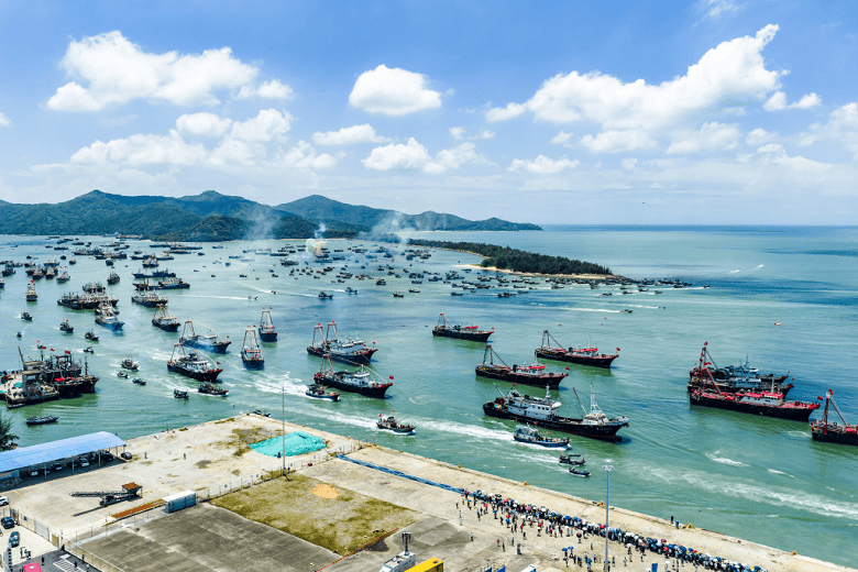開海第一捕上新！順豐全鏈條物流護航漁鮮直達千家萬戶