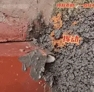 小貓被水泥封住洞口，女生邊哭邊挖：那一刻，她就是它的光