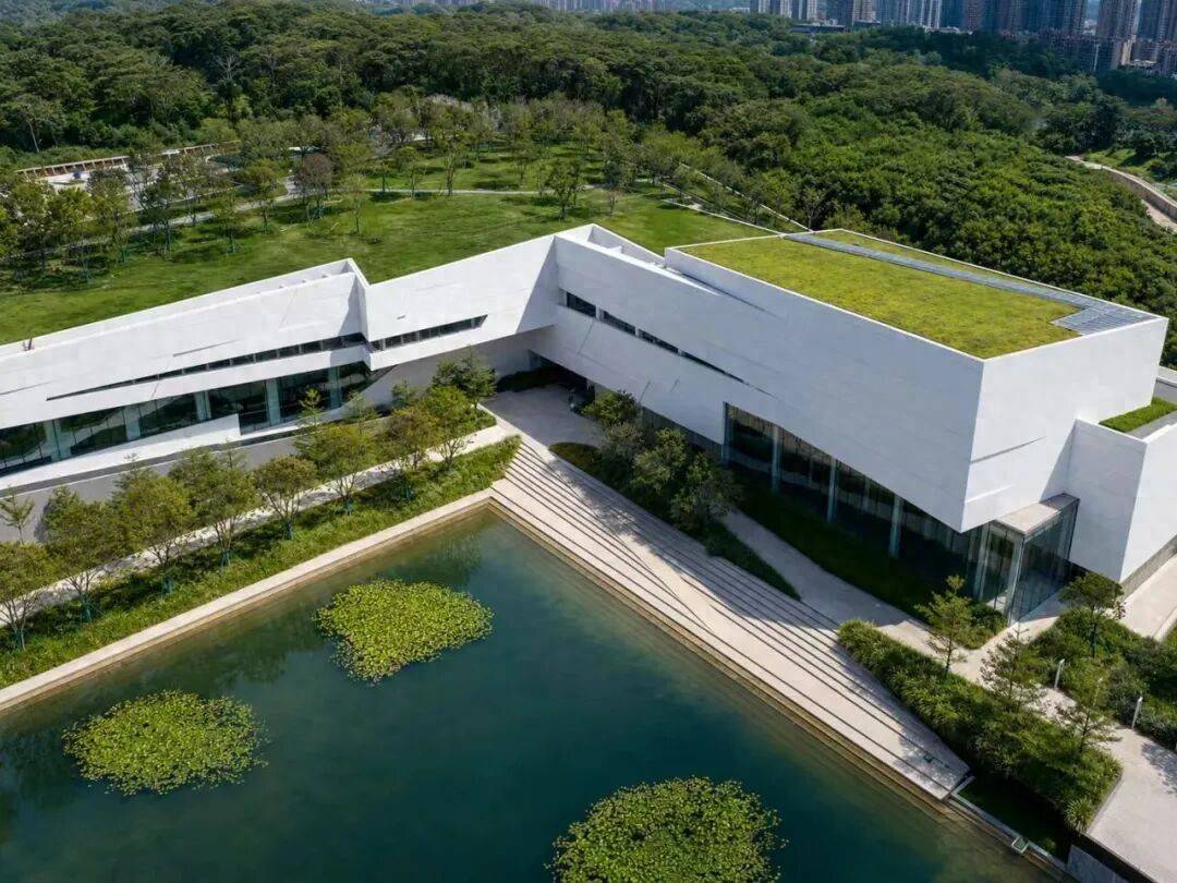 深圳又一圖書館即將開館！