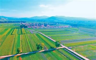 循著藥香去旅遊