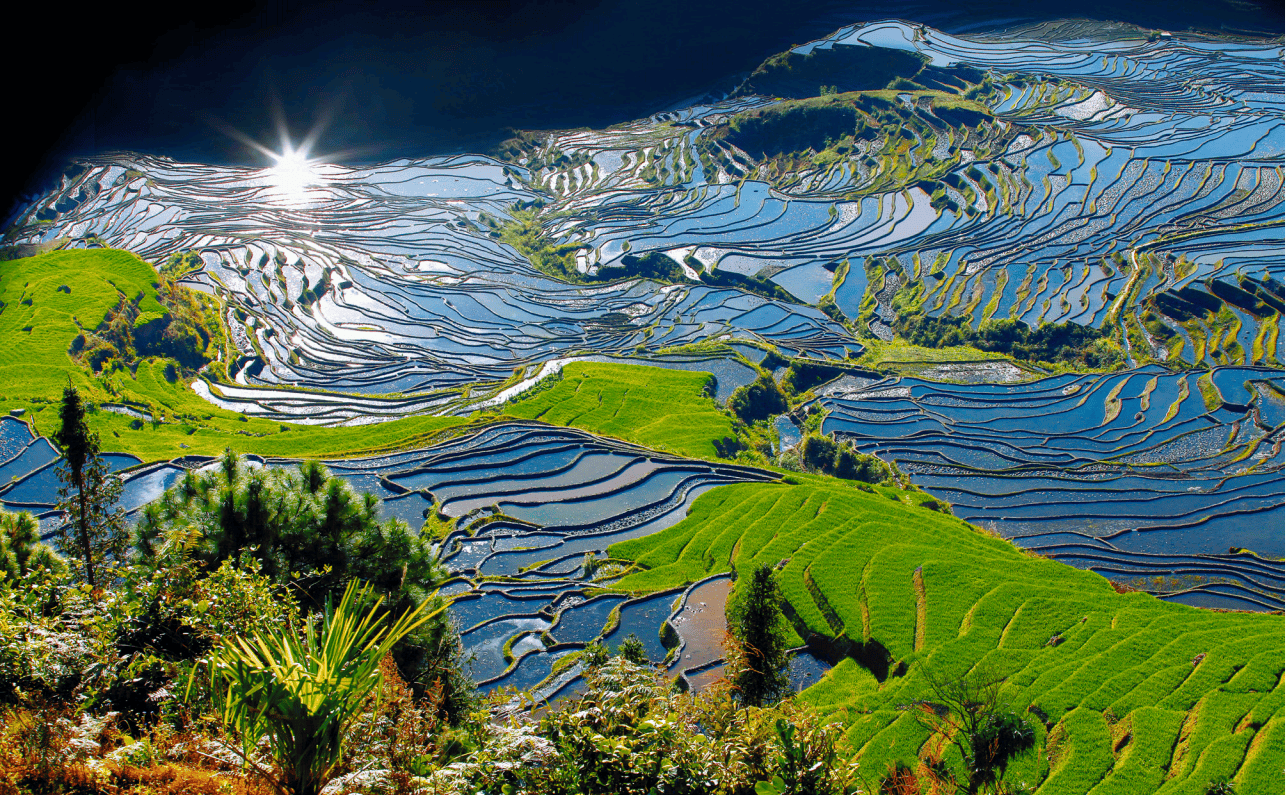 “梯田徒步”帶火紅河縣鄉村全域旅遊