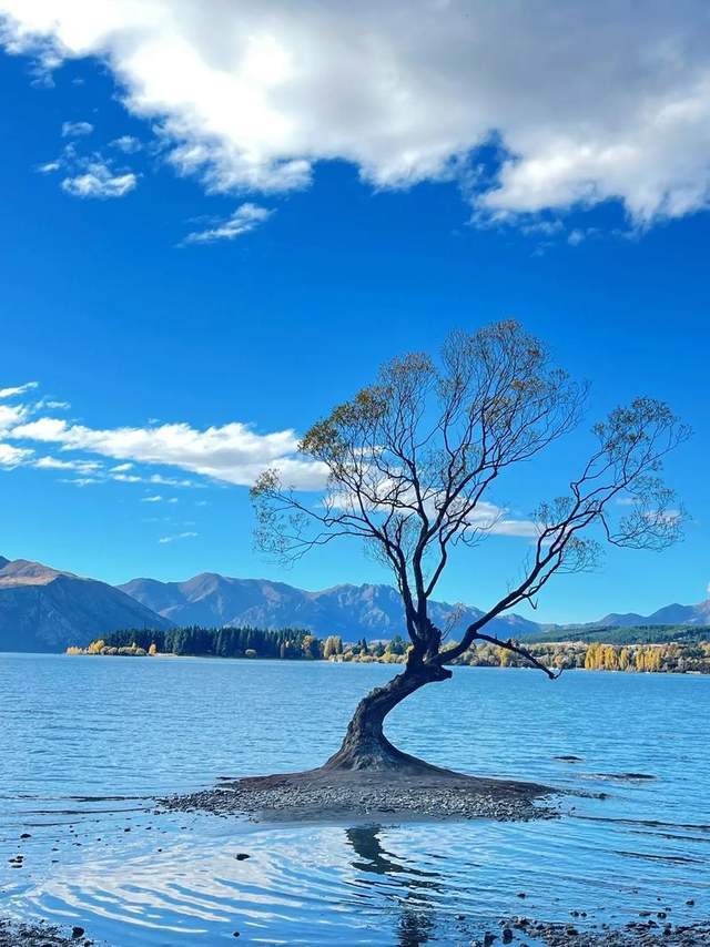 雲南旅遊，麗江拉市海山野美景太治癒了！