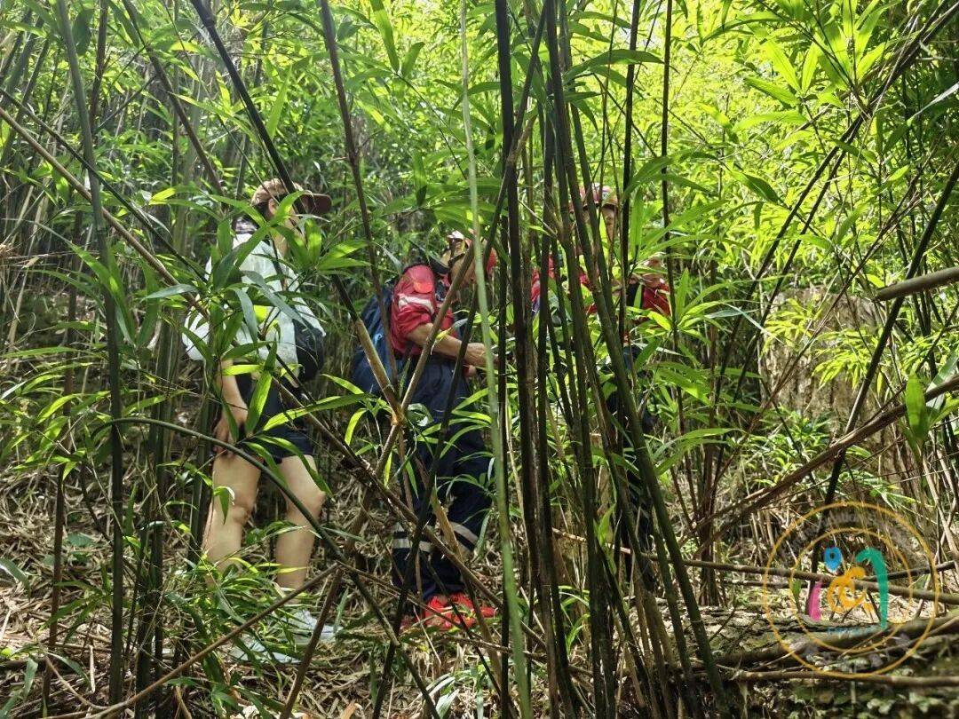 女子單人徒步，在福州鼓山一帶誤入密林被困，救援隊冒高溫快速營救