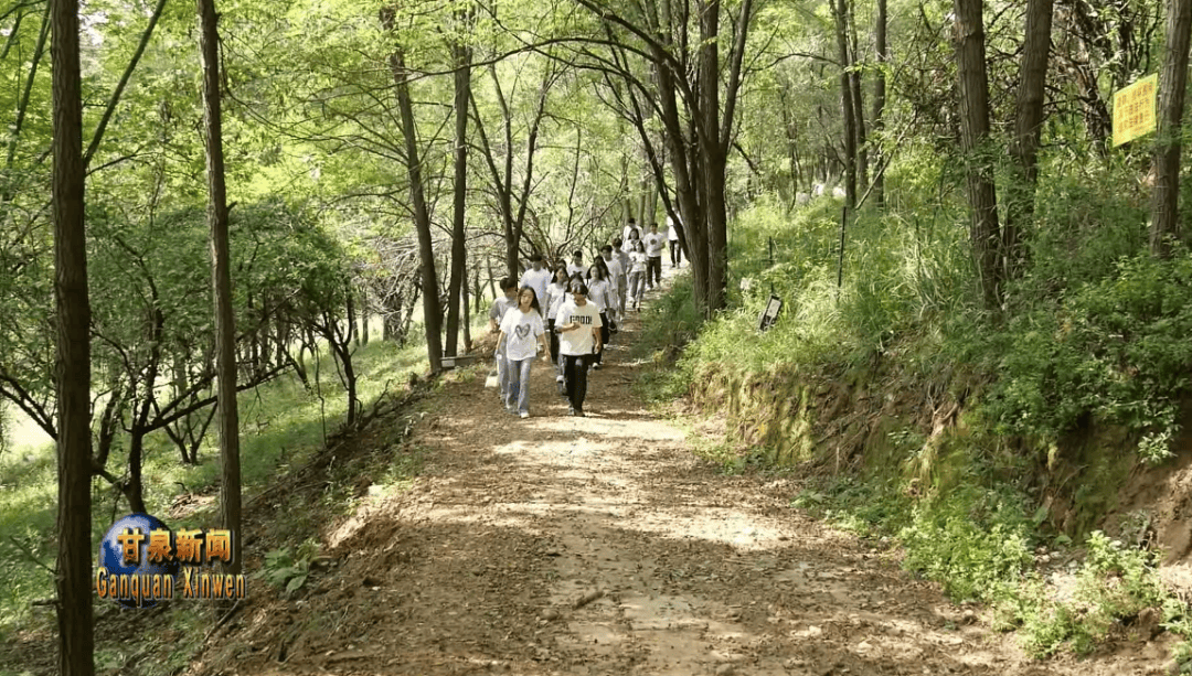 暑期礪青春 實幹練本領——甘泉紮實開展大學生暑期見習工作