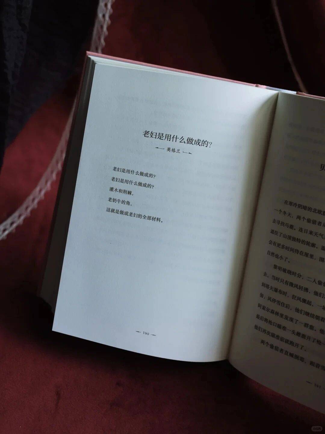 女巫書單必吃榜！值得人人收藏的母系神話