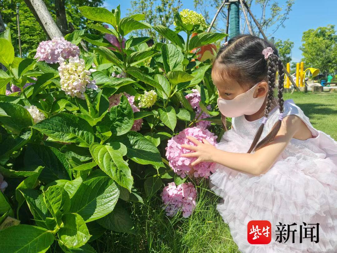 紫牛頭條｜5歲女童科技館看錶演遭機器人踢中面部，四顆牙齒脫落 賠償金額中未來美容修復成爭議焦點