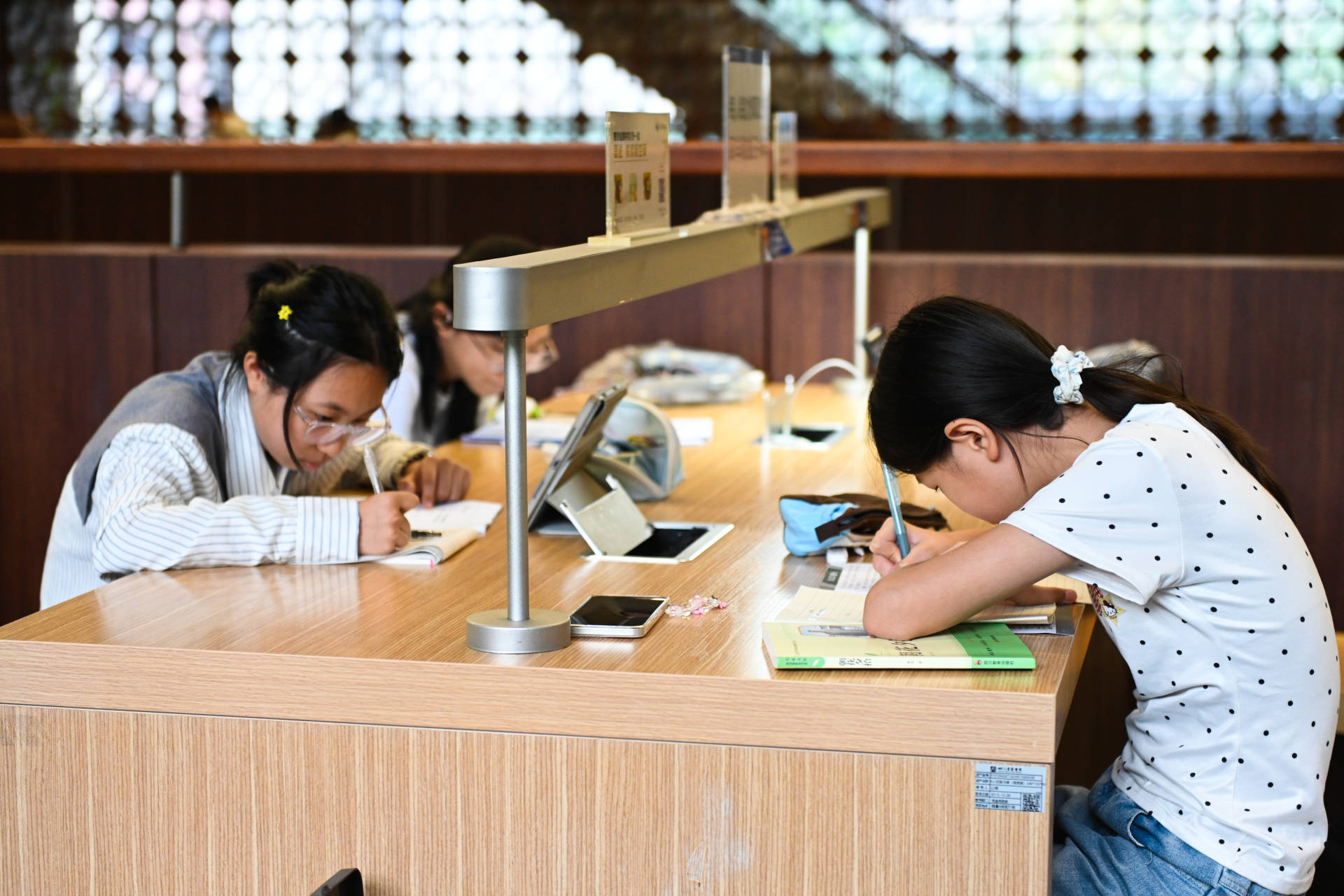 開學在即 省圖書館裡學子“收心充電”忙｜圖集